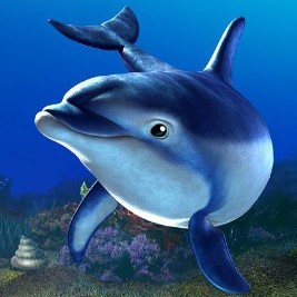 «Delfinlar» mavzusidagi slotlar